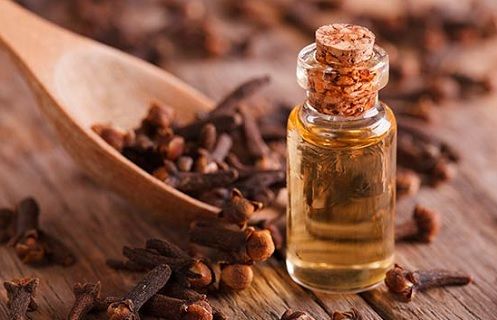 clove-oil-for-toothache-relief